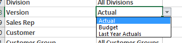 Example of the Planning Analytics for Excel (PAX) automatic drop down menu